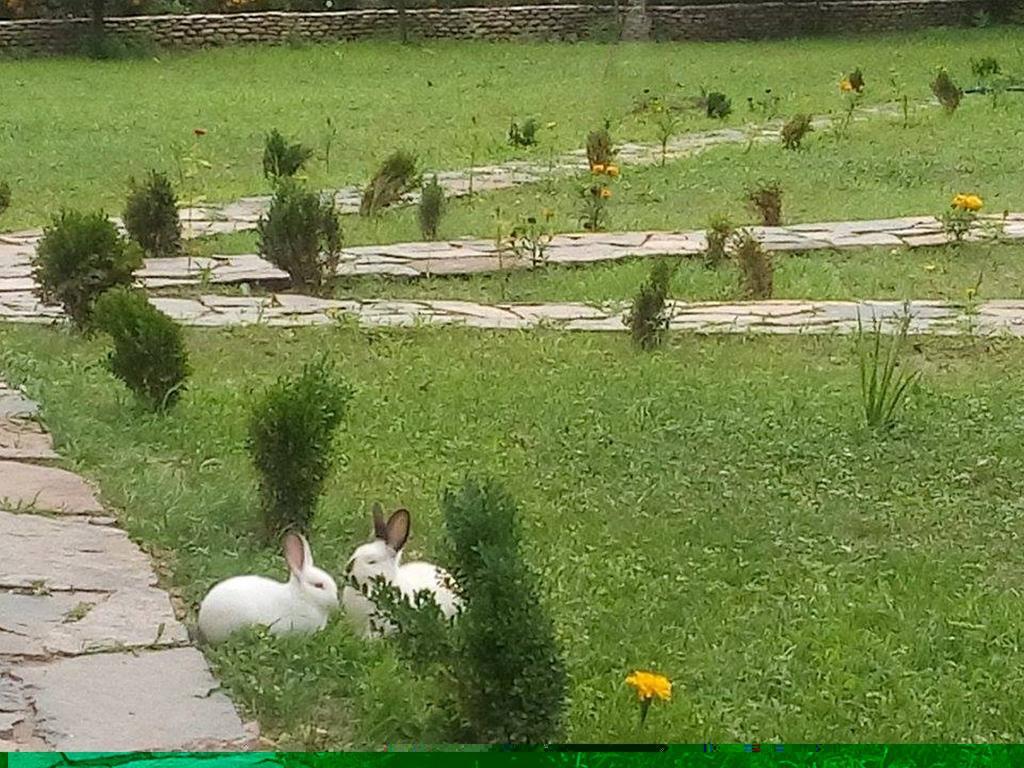 Holiday Park Ranchoto Hotel Kirkovo  Luaran gambar