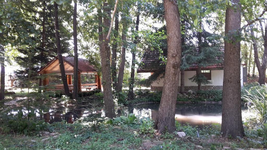 Holiday Park Ranchoto Hotel Kirkovo  Luaran gambar